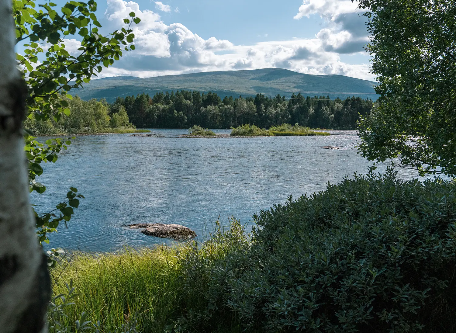 Ved Elvebredden Glomma